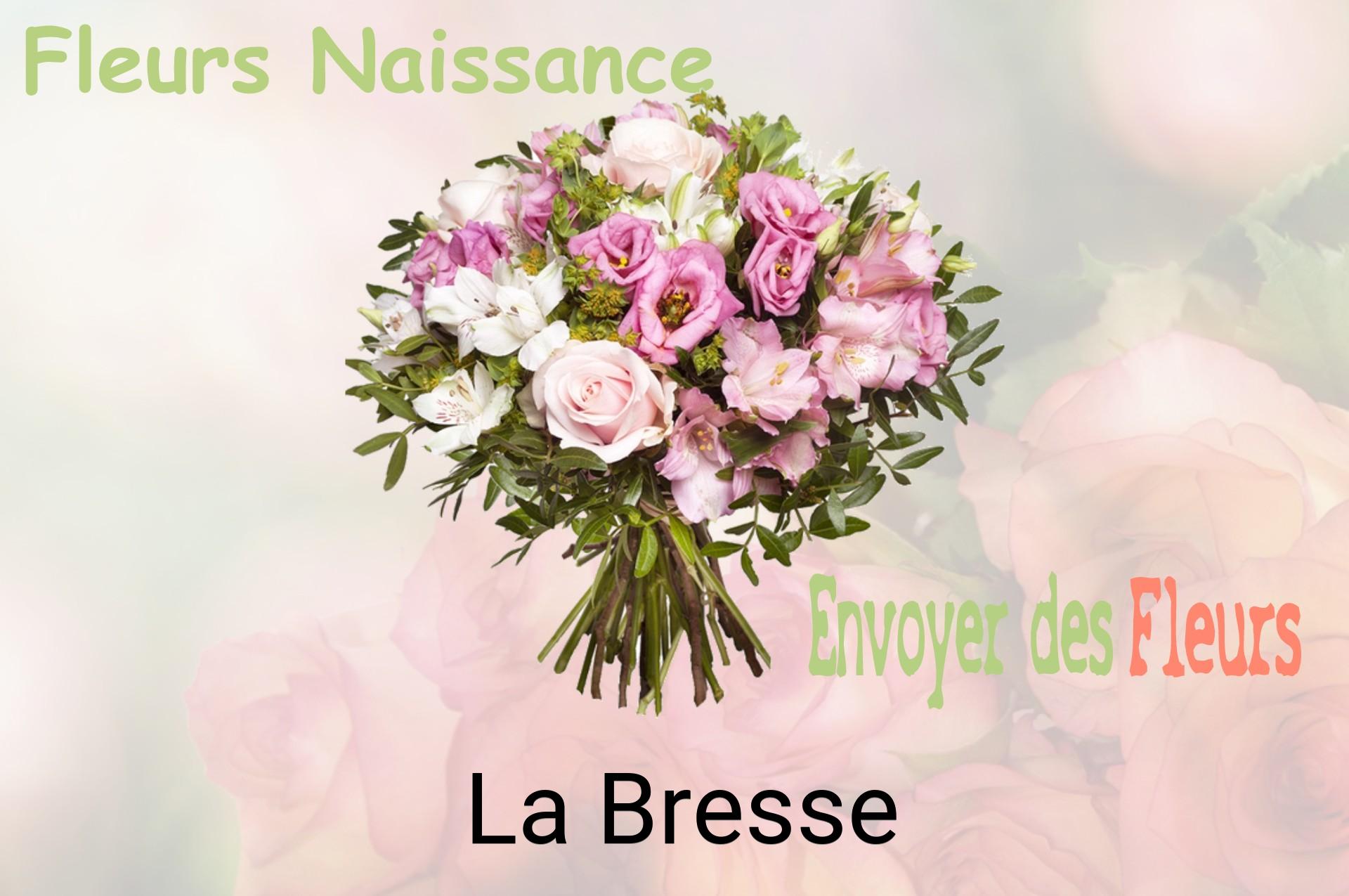 Bouquet de fleurs de naissance livré à La Bresse